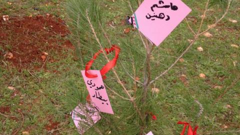 شجرة تحمل أسماء شهداء المدينة ضمن حملة التشجير. المصدر: صفحة الناشطة زينة ارحيم على الفيسبوك